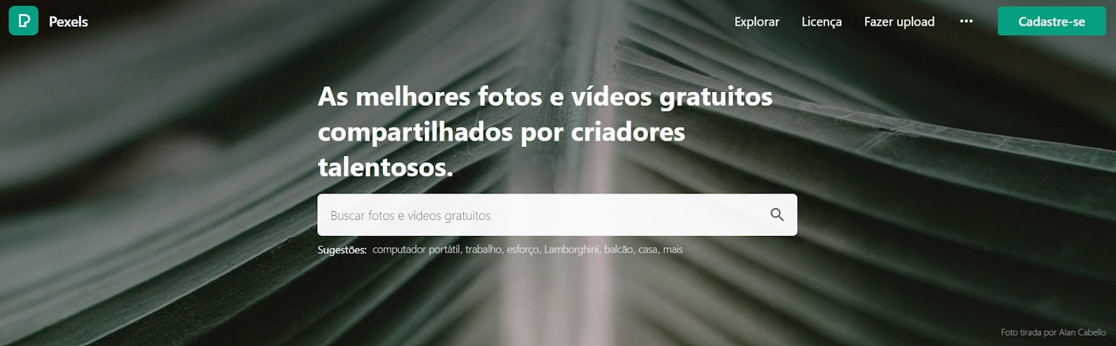 Melhor criador de vídeos comerciais online gratuito