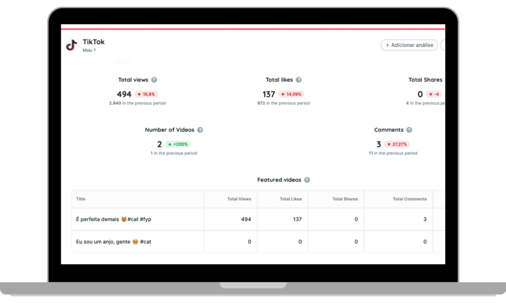 exemplo de relatório de TikTok 